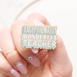 Exceptionally Wonderful Educator Pin