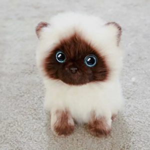 Mochi the Persian Cat – Plush Toy