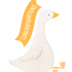 Duck Congratulations Greeting Card