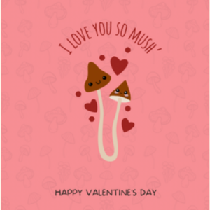 I Love You So Mush Greeting Card