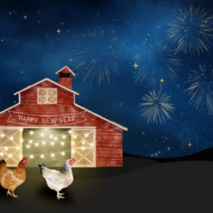 New Year Chickens Greeting Card